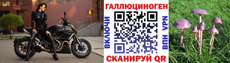 Купить закладки  Олонец  Псилоцибиновые грибы GOLDEN TEACHER 